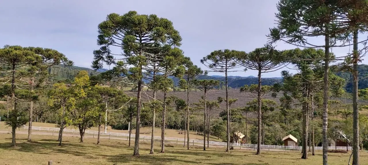 Chalé Bienz - Hospedagem Rural Urubici Chalet